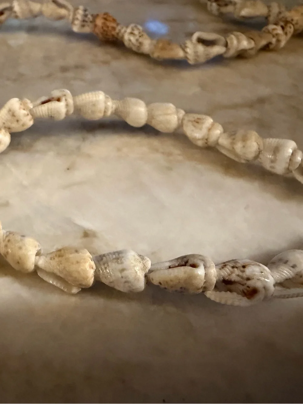 Mini conch shells necklace unisex